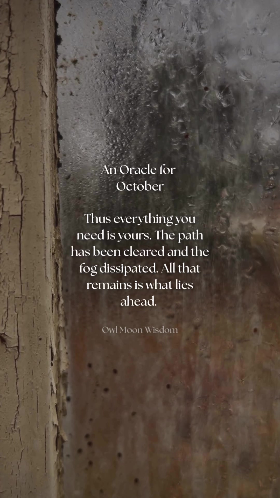 @owlmoonwisdom