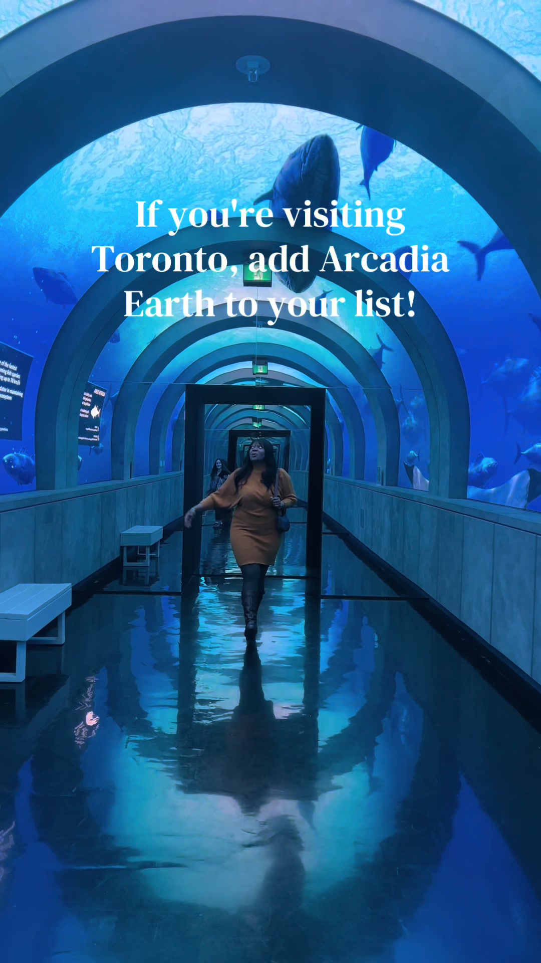 @travelinsightplug