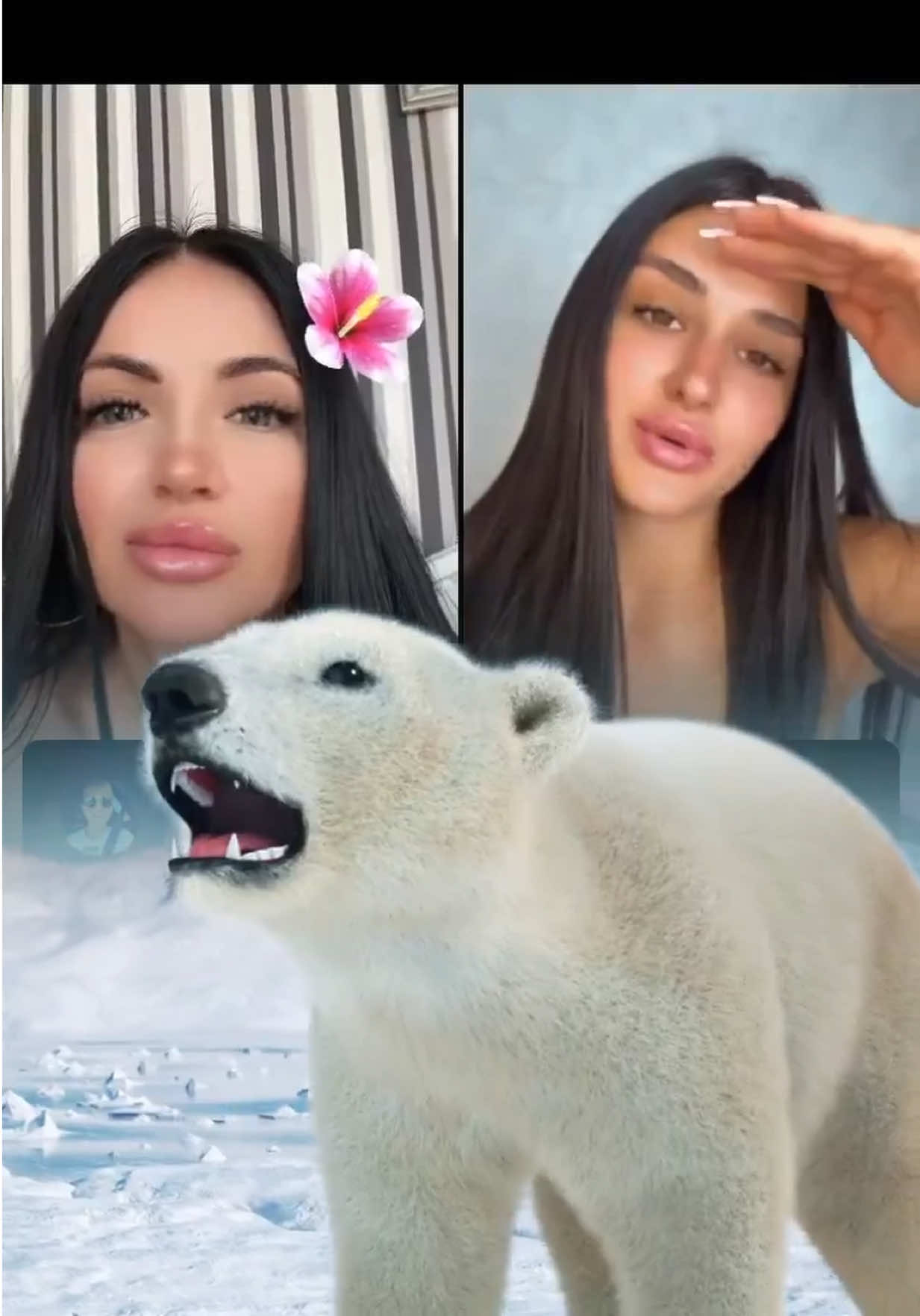 @𝐕I𝐊𝐓𝐎𝐑𝐈𝐀 𝐓𝐈𝐆𝐑𝐄𝐒🐅