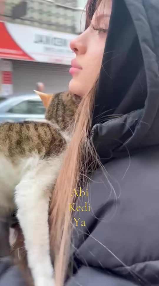 @Shinwashii