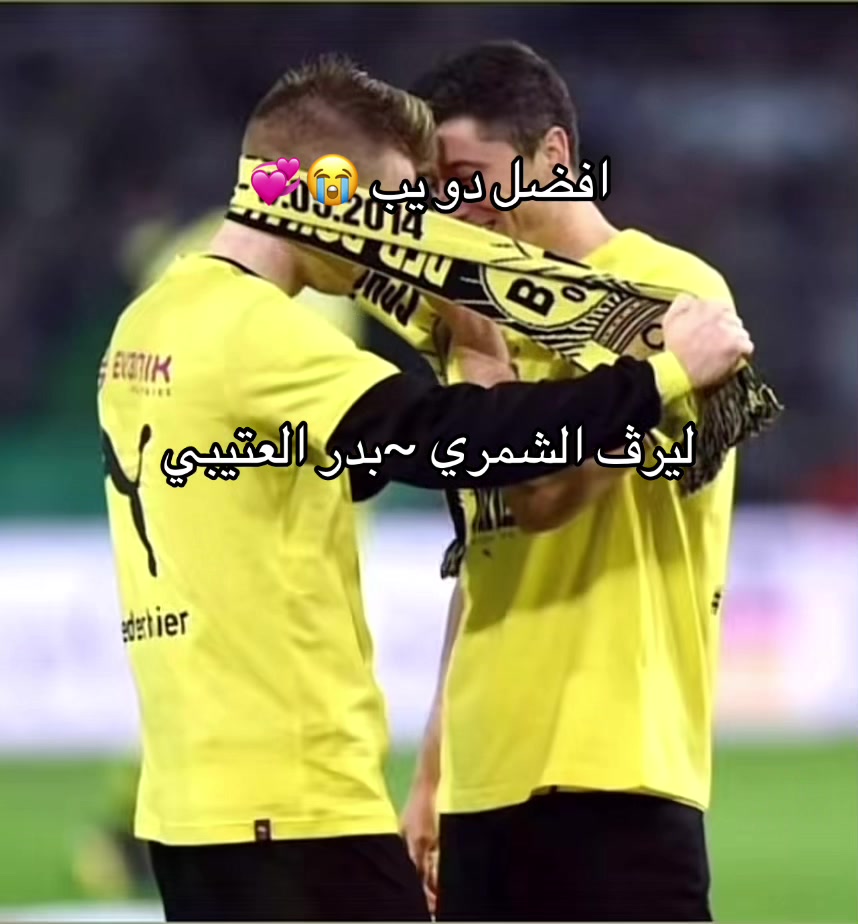 @انستاوي