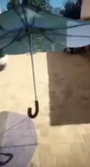 @ieatglass__
