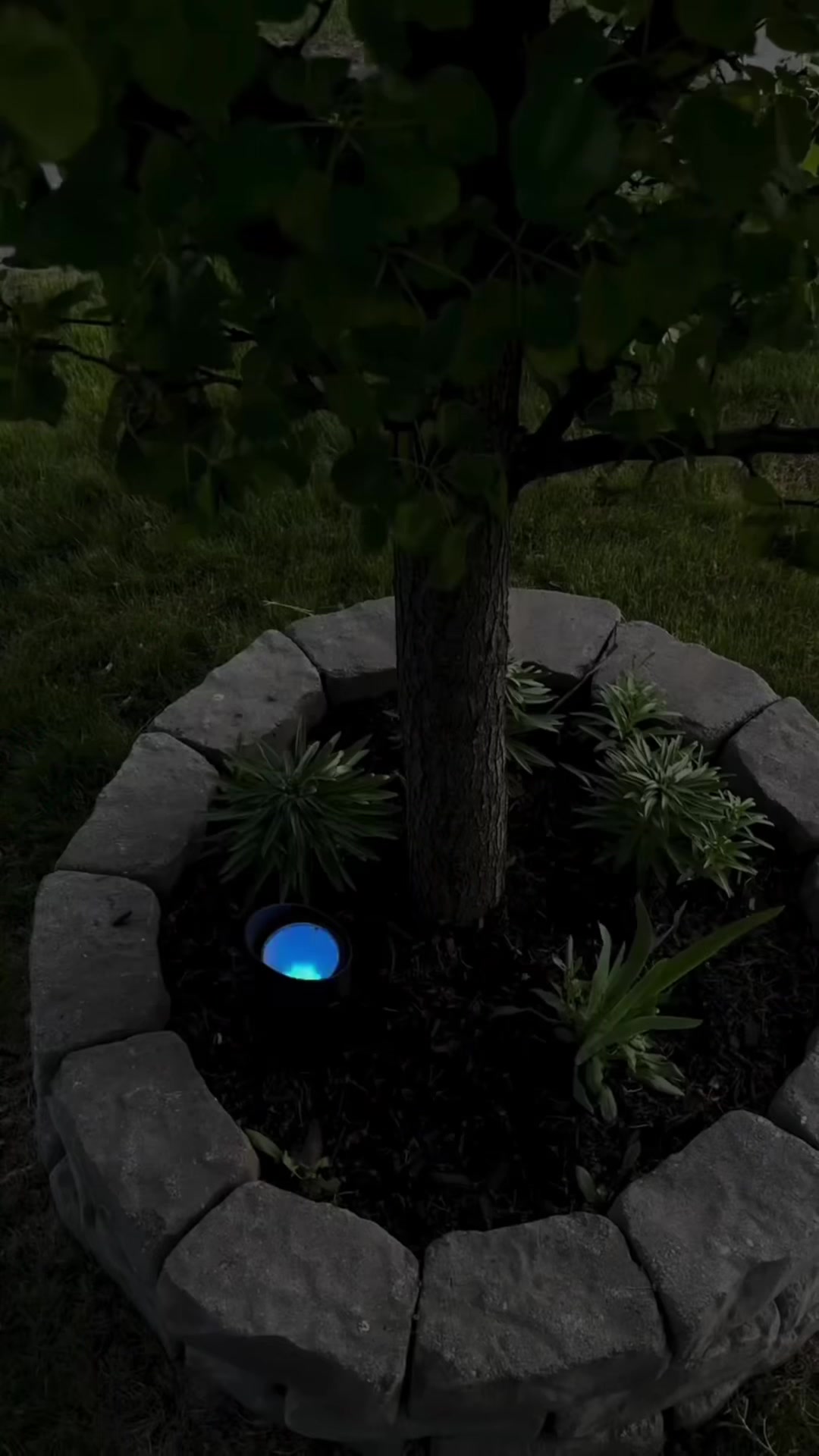 @Philips Hue