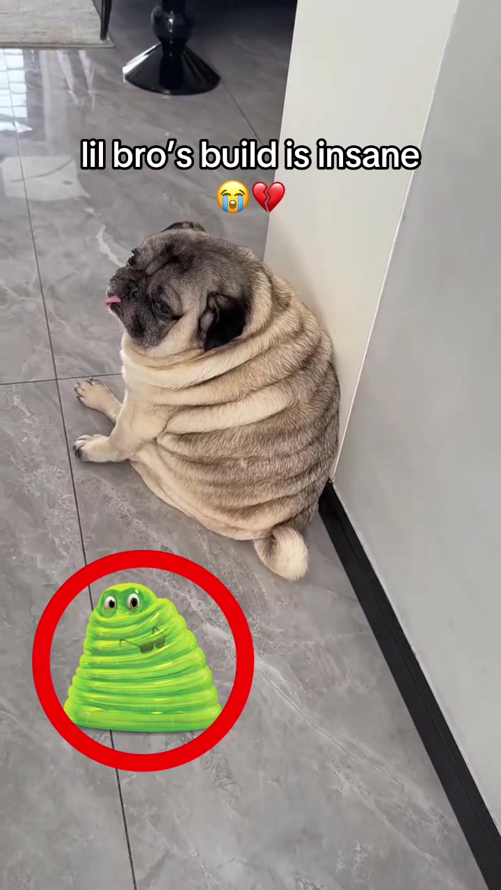 @bababooy1.2