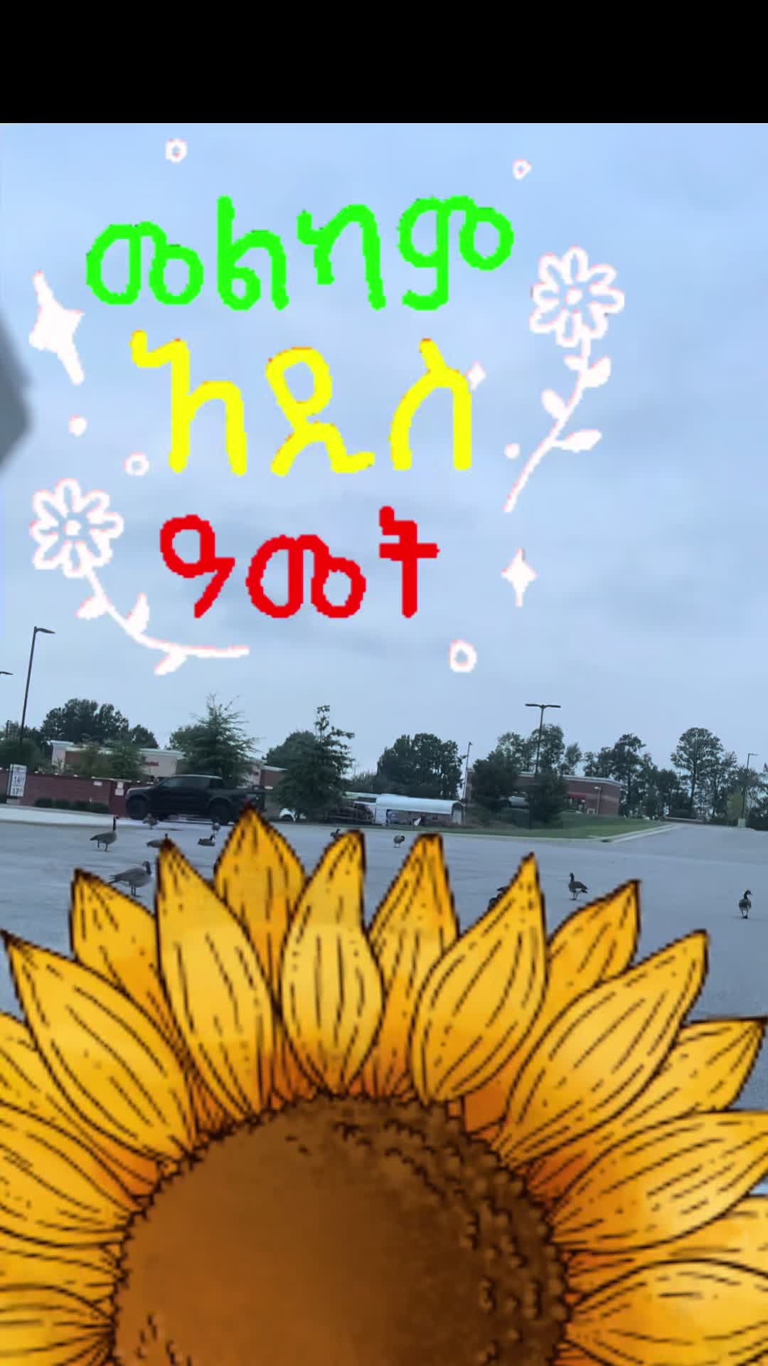 @አልማዝ