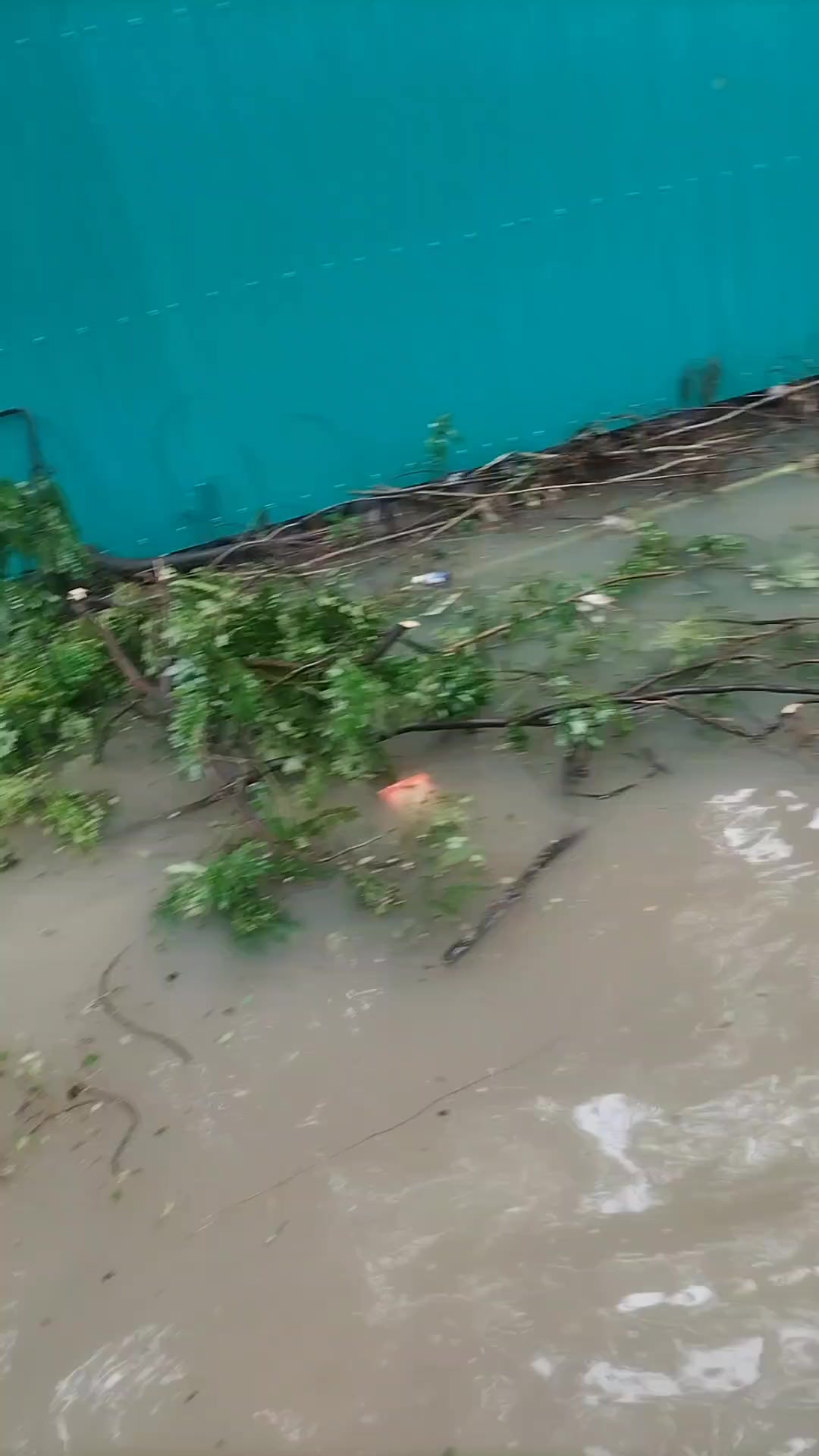 @চট্টগ্রামের ছেলে @Samrat-foryu