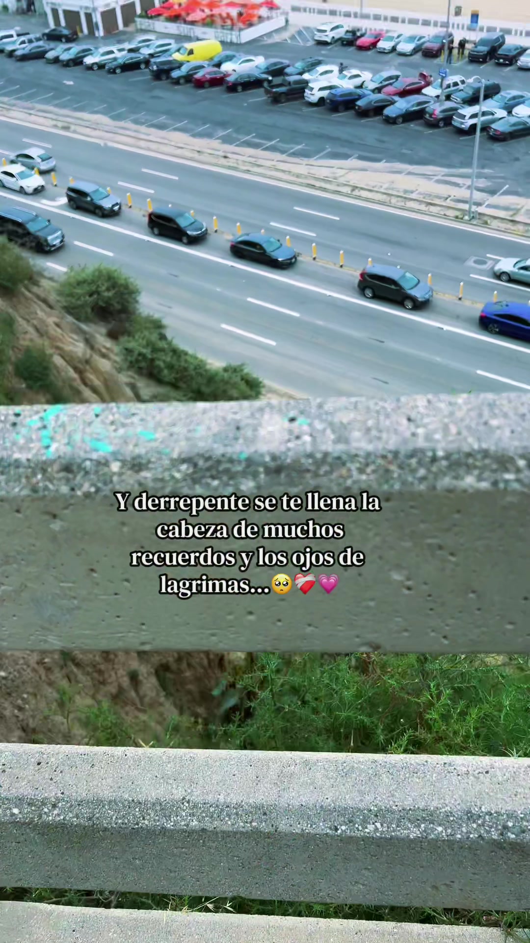 @SoyLionardo_R🐻❤️&zwj;🩹