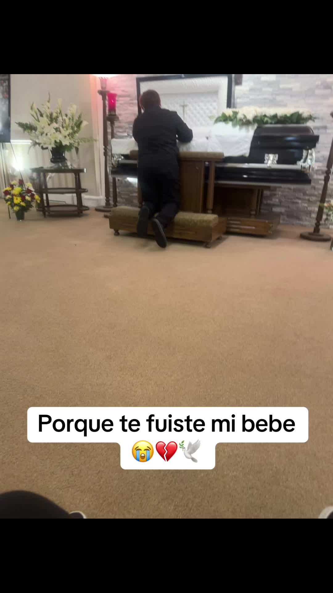 @Esmeralda Alonso 🏳️&zwj;🌈♌️