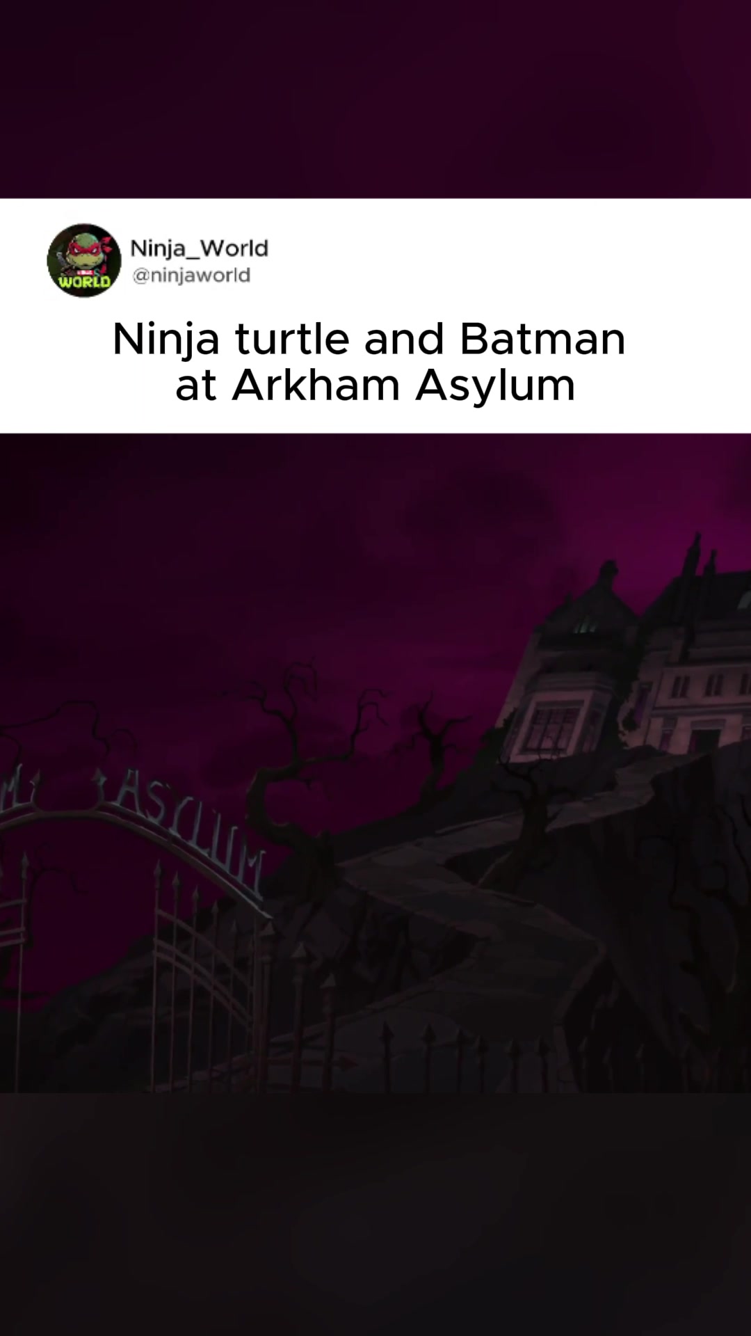 @ninjaworld_4