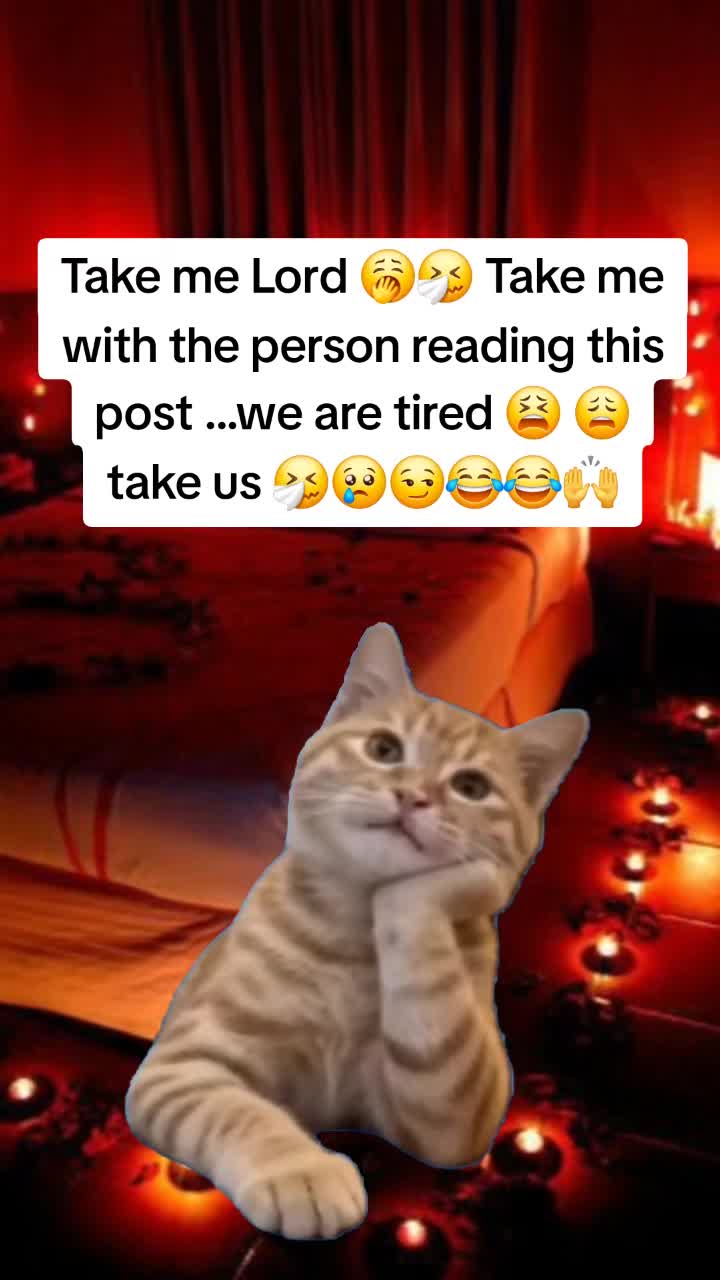 @Miss Vibez ๐ค๐๐