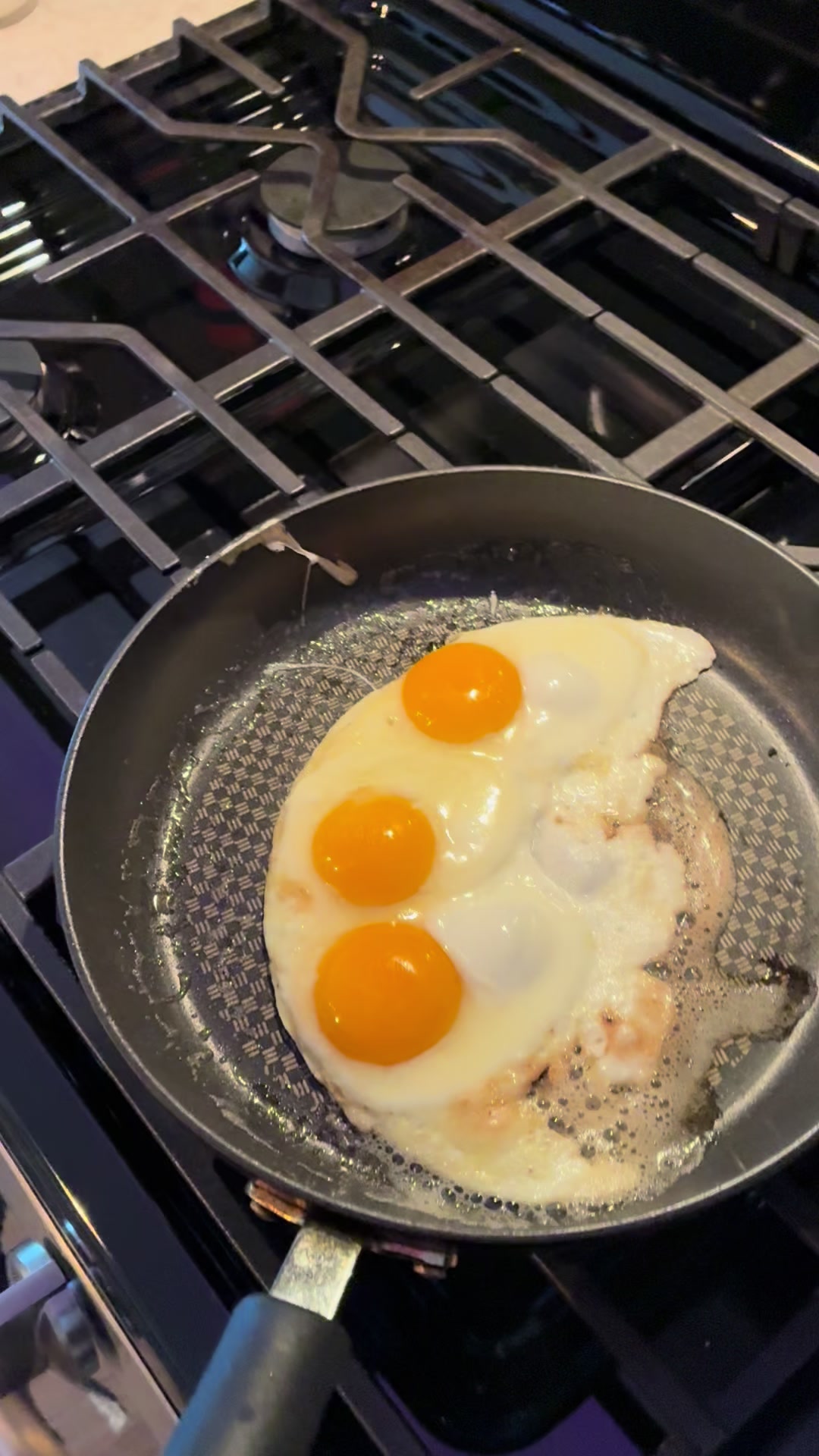 @Egg Sheeran