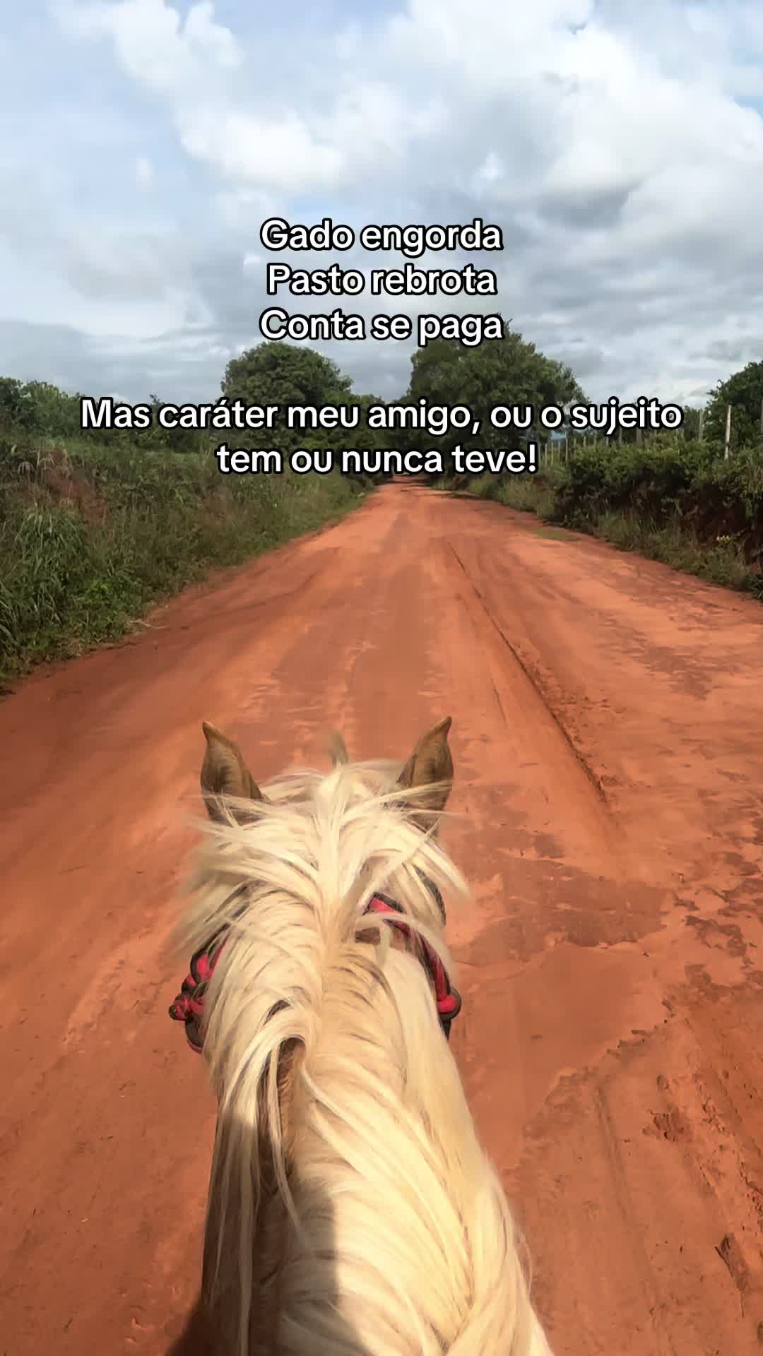 @Isabellabernardesss