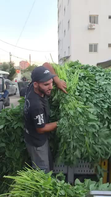 @🥷Avadranouavadra