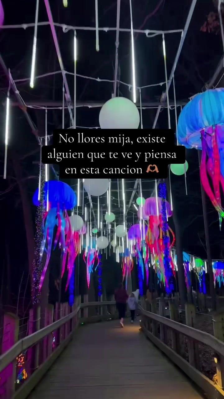 @✨Abbi✨