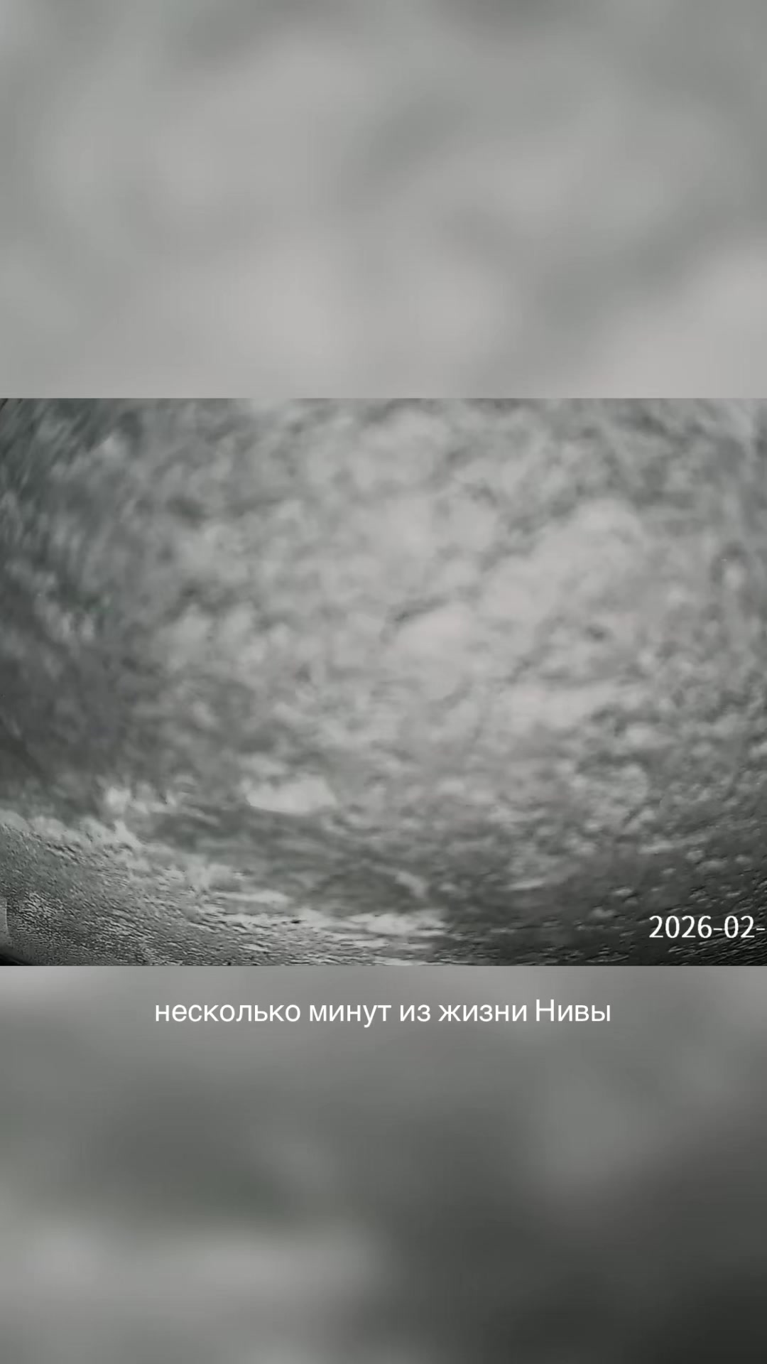 @Эва Милконская