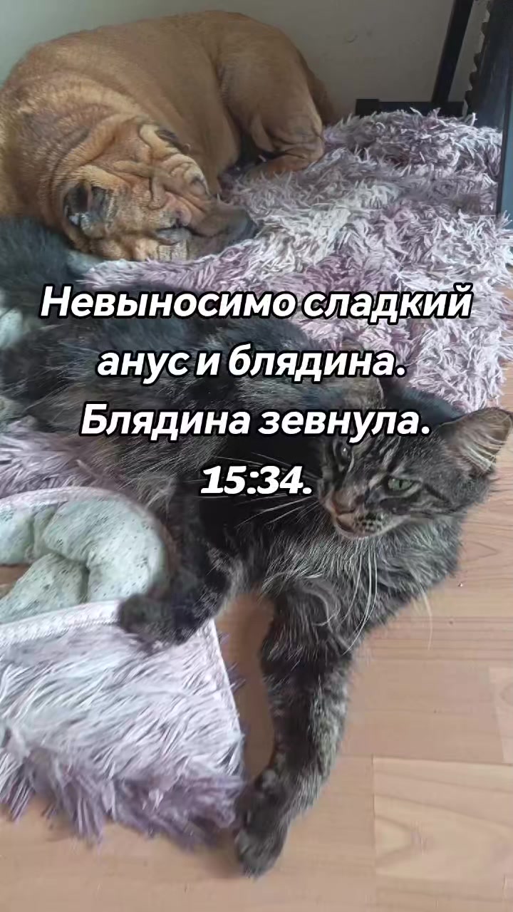 @amusleninblyadina