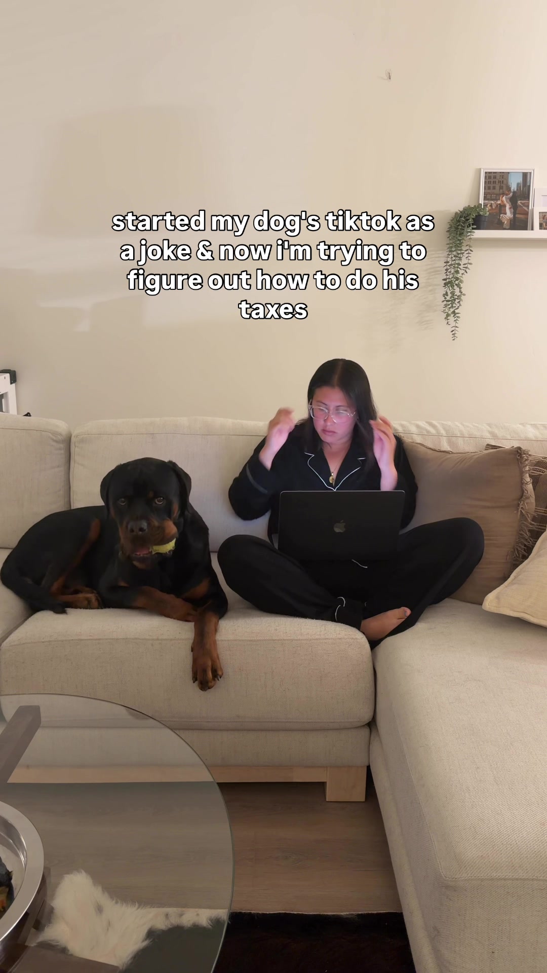 @Rex the Rottweiler