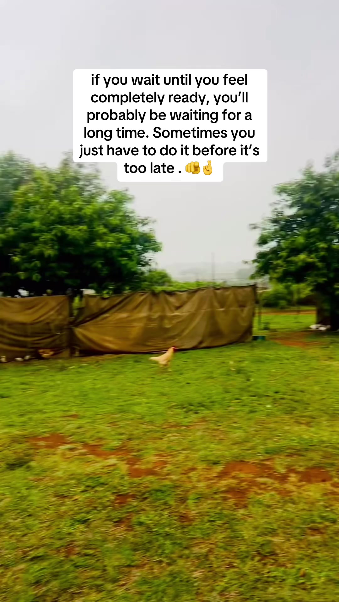 @deemphow_phow