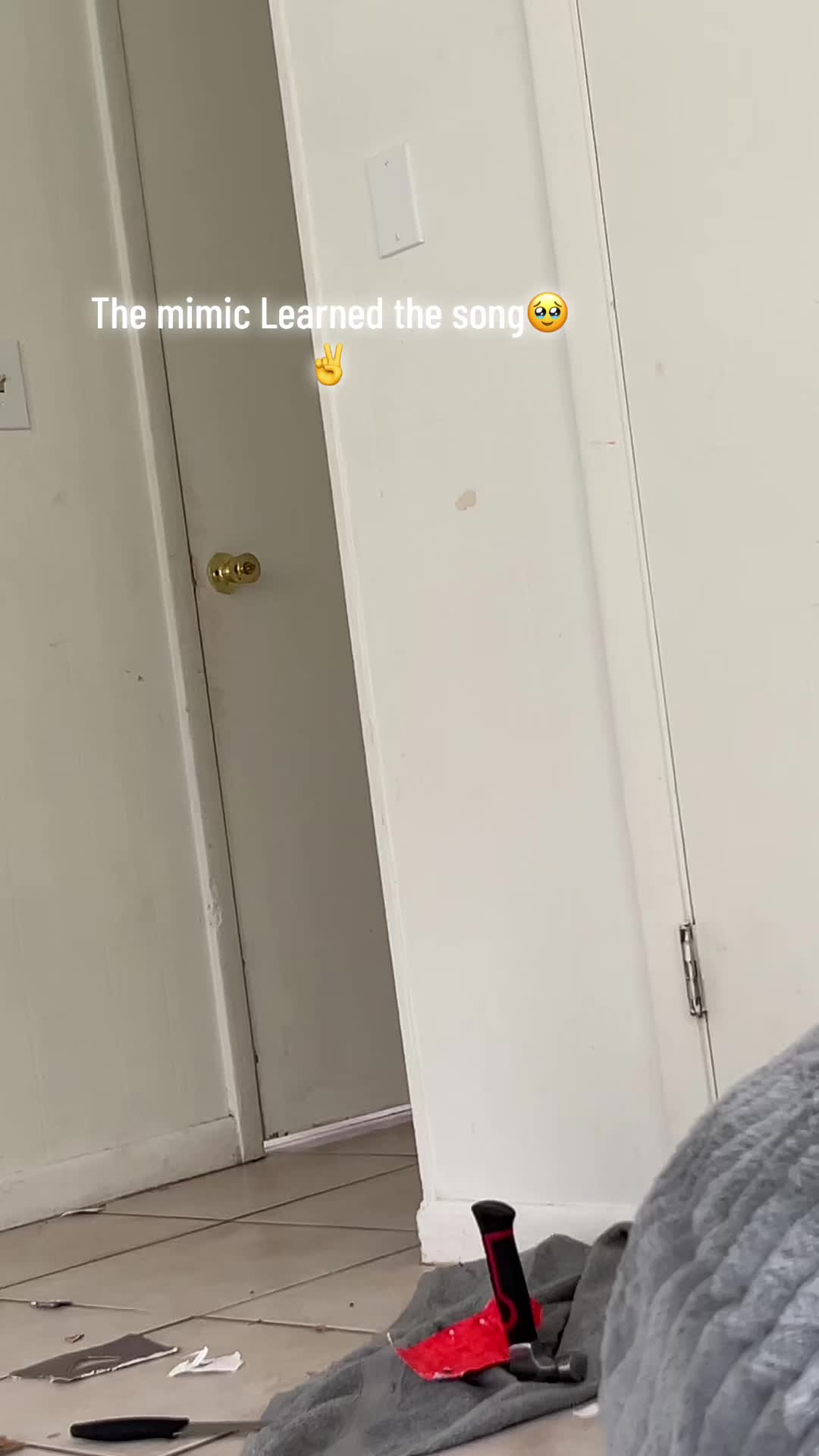 @Twitch