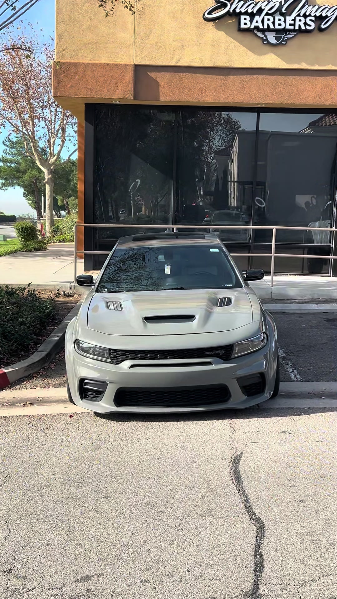 @Pineal.E85