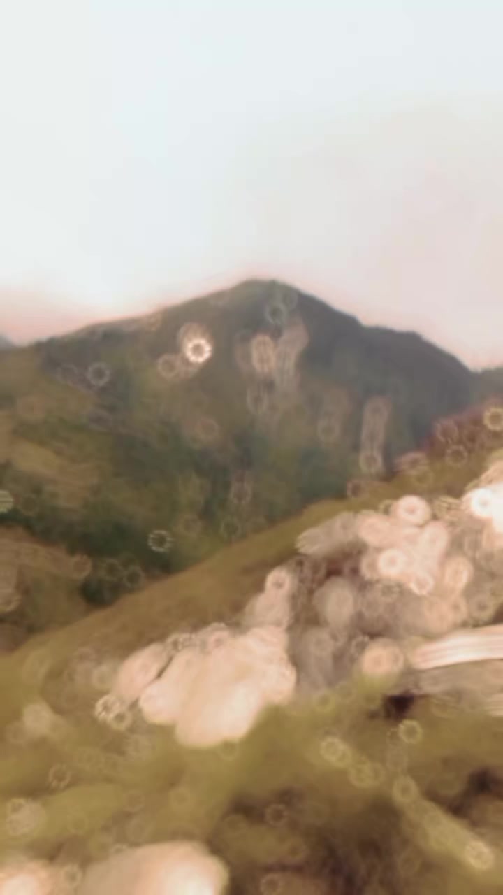 @راجہ مبشر