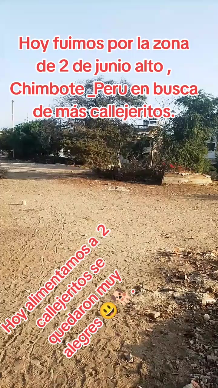 @🌷 Sarita y los callejeritos