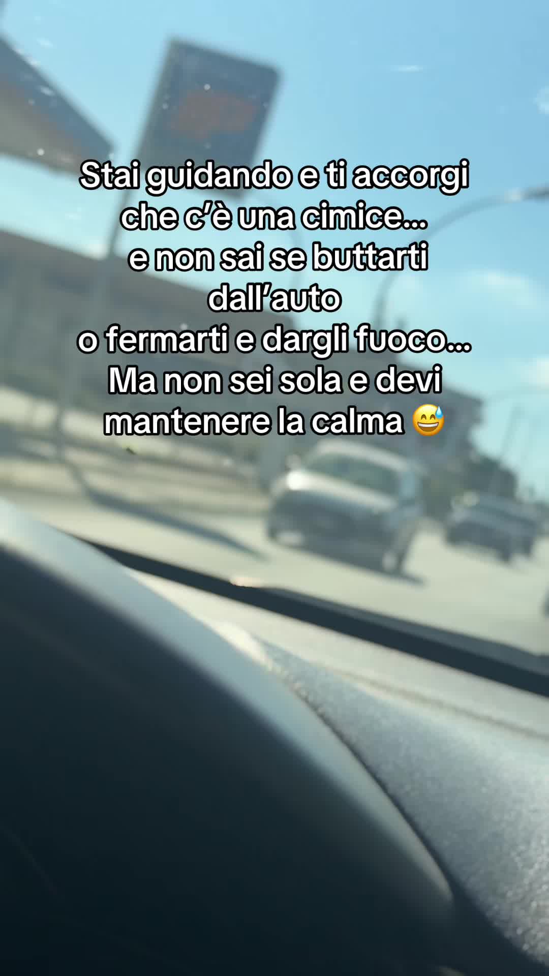 @Jessica Morabito