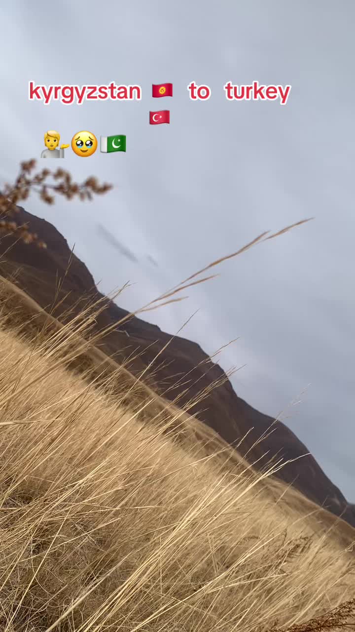 @kyrgyzstan 💁🇵🇰