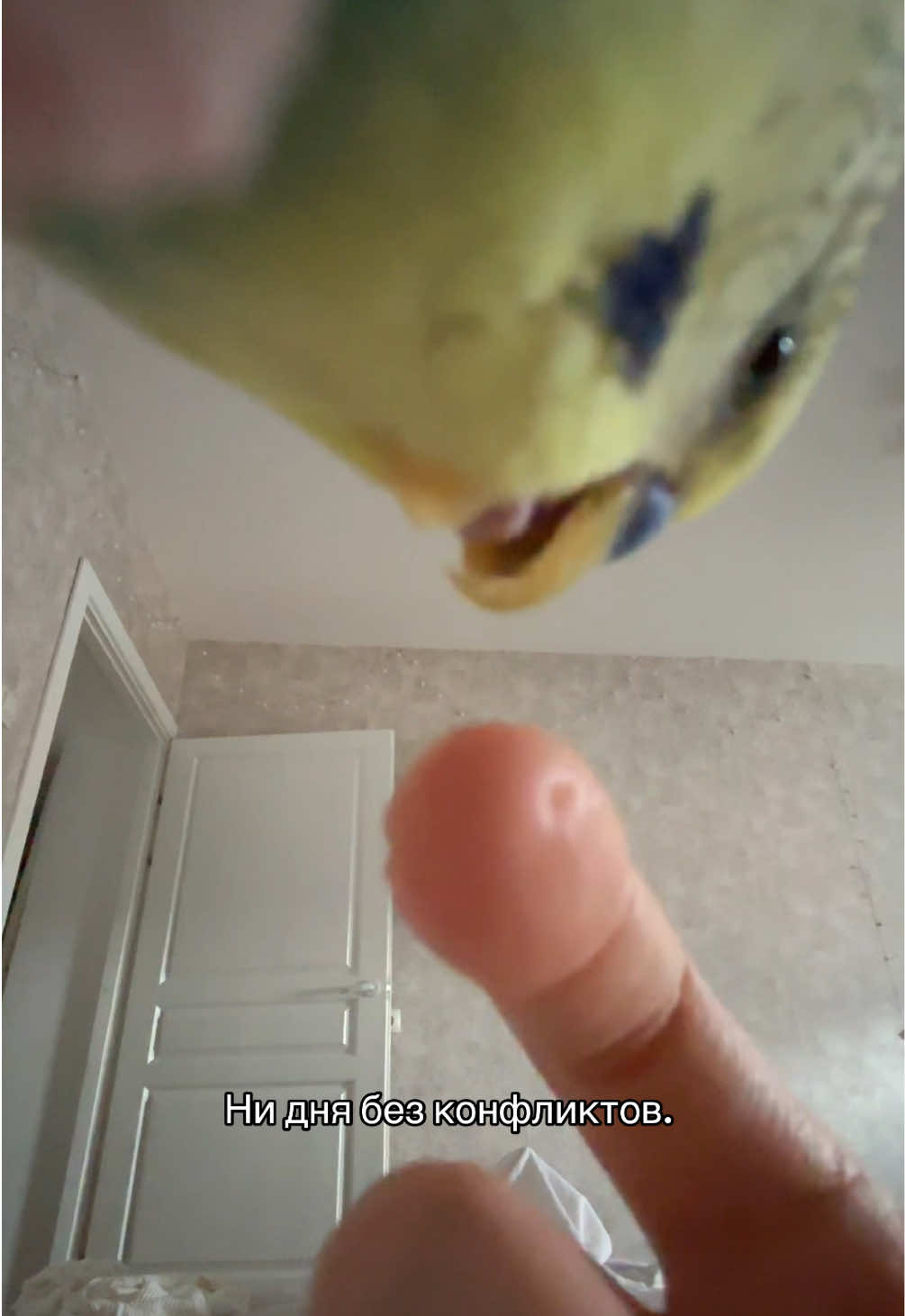 @Дия