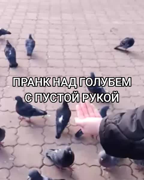 @блонди, лучший человек в мире