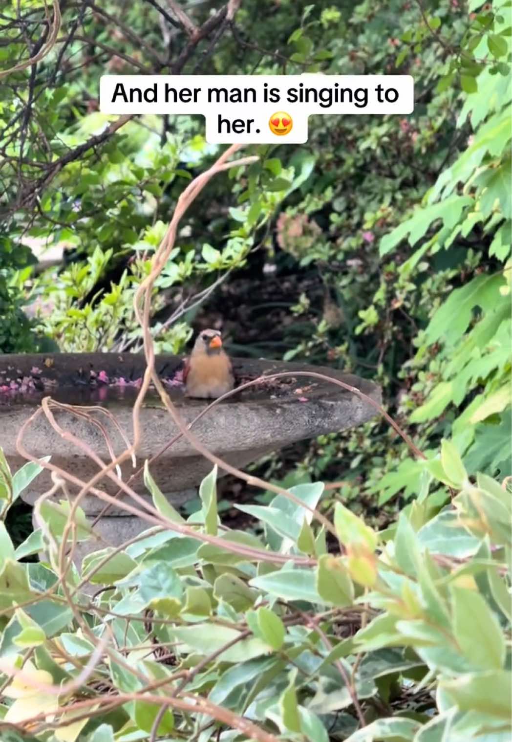 @Janet 💁🏼♀️❌