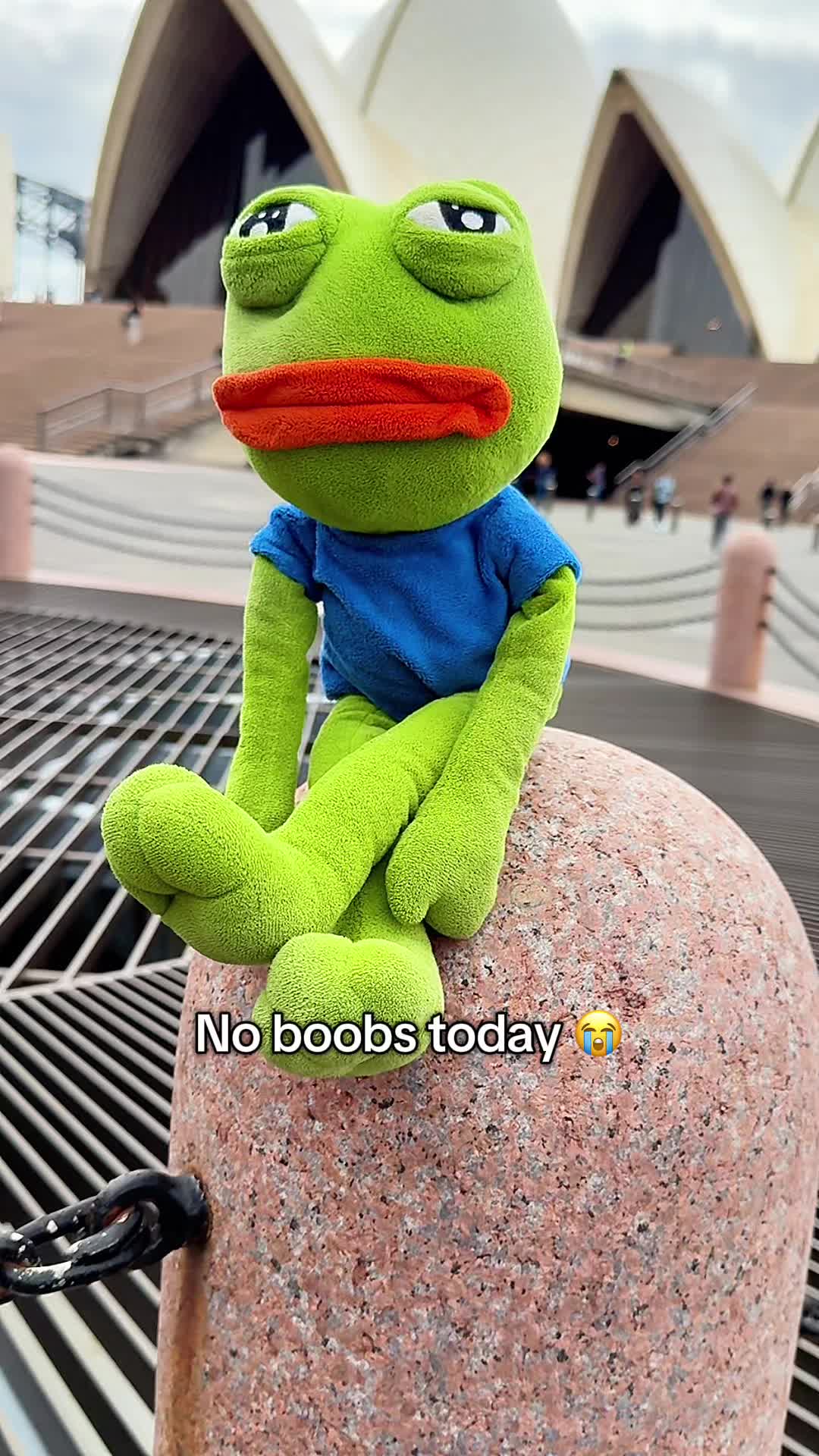 @AdoptAPepe