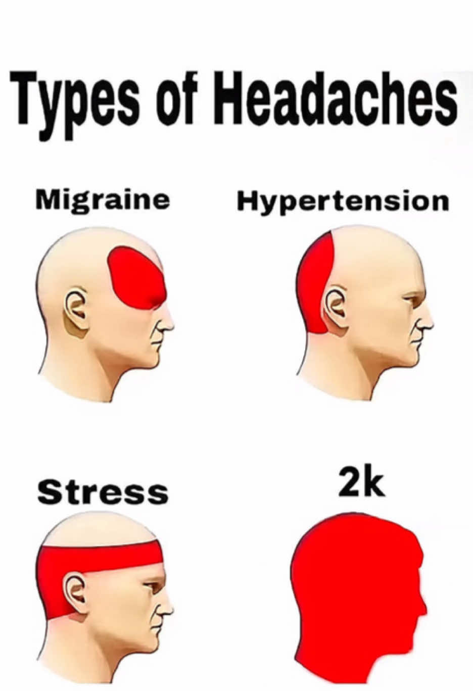 @SplashIntellect