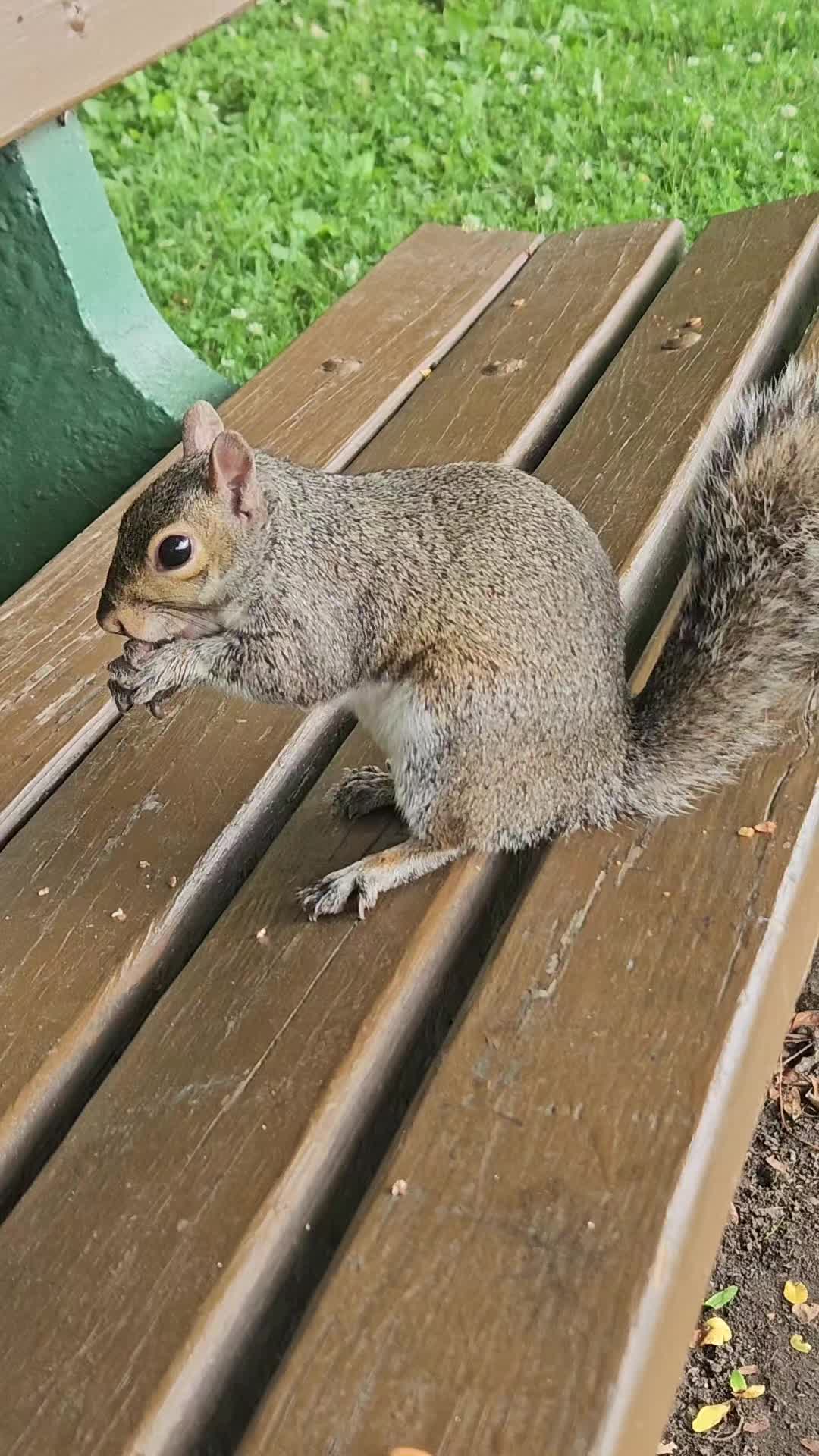 @cschultz2