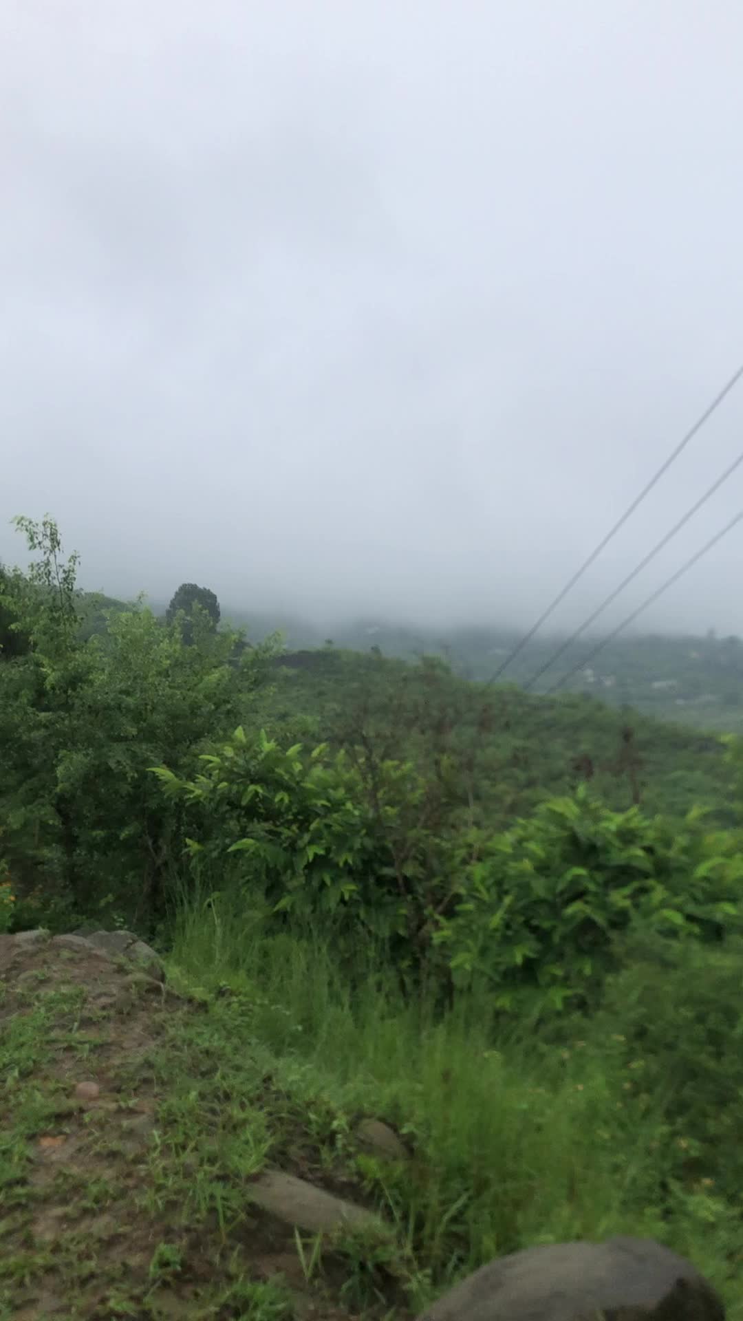 @Ali AL-Sayyedi