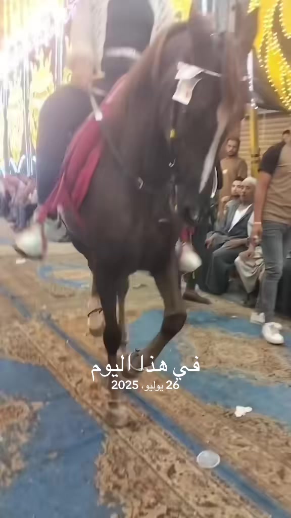 @الملكه شهد عبدالرحمن 🥇🐴&hearts;️