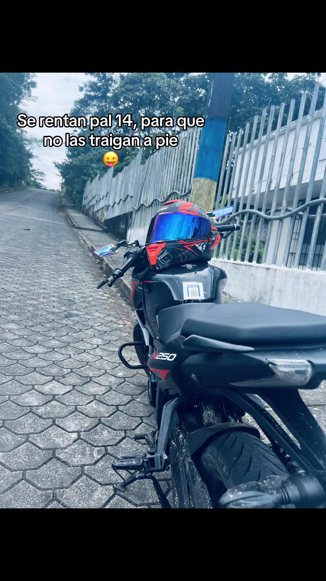 @Leo🤎