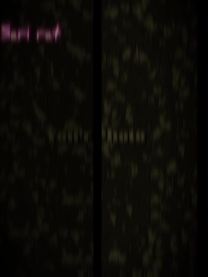 @💫𝕚𝕥’𝕤_𝕞𝕖_𝕊𝕒𝕝𝕞𝕒𝕟💫