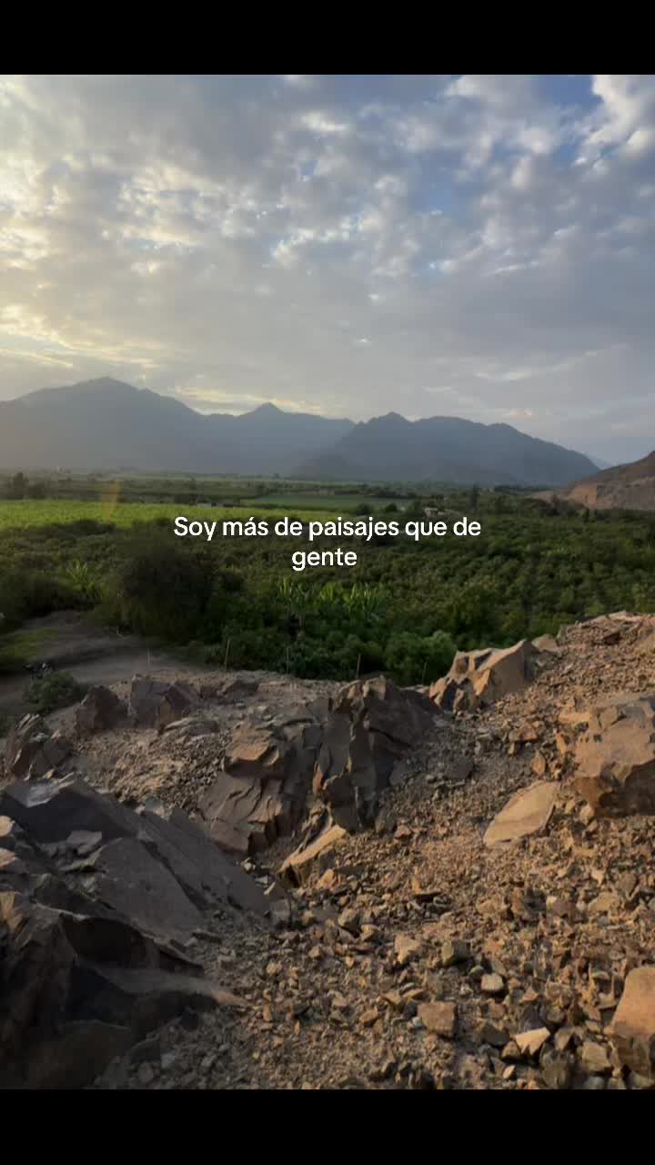 @Luis castillo 💫