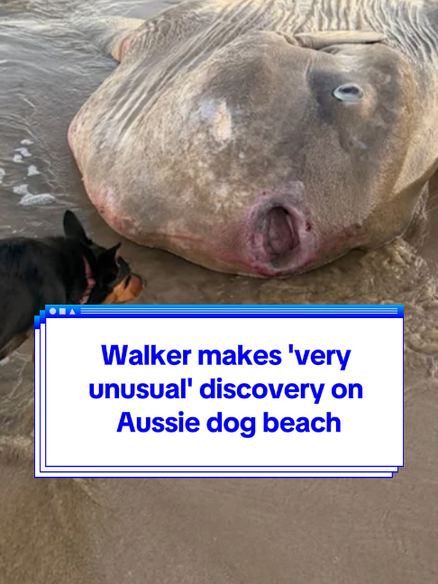 @Yahoo Australia