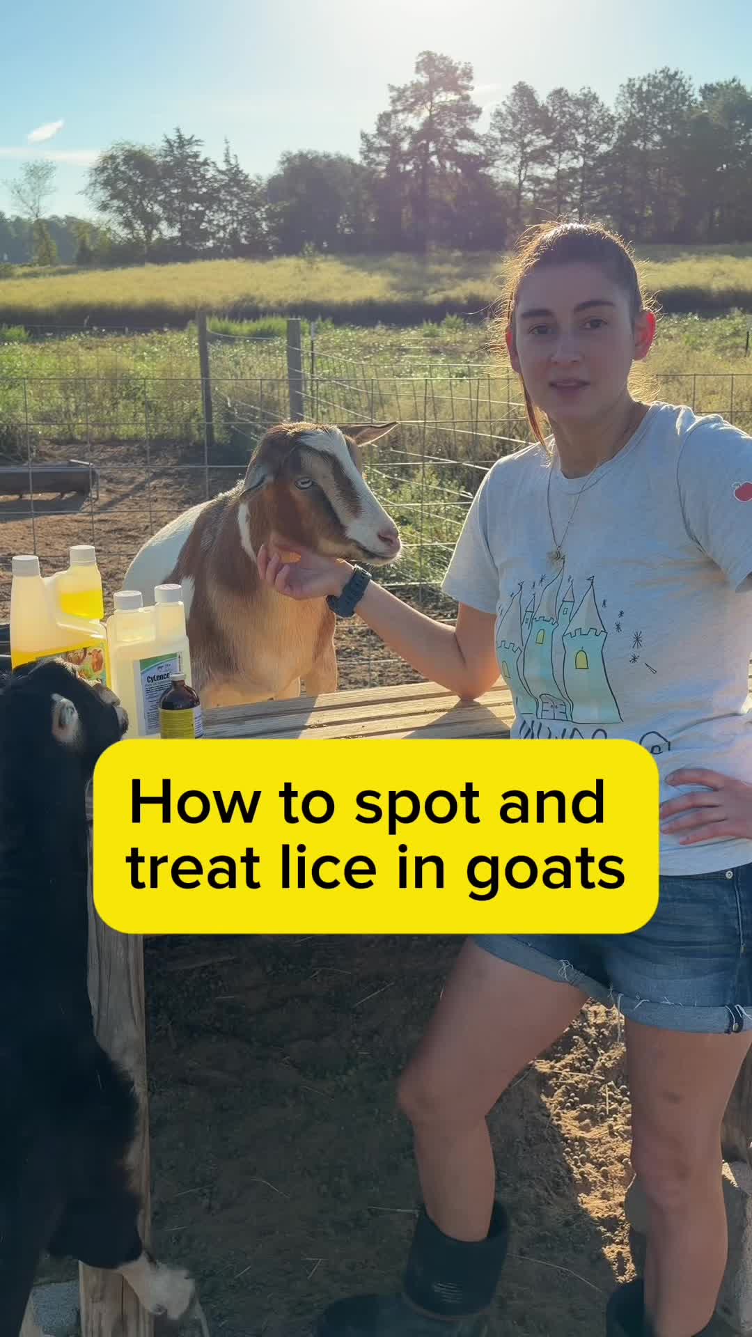 @Heart & Hoof Homestead