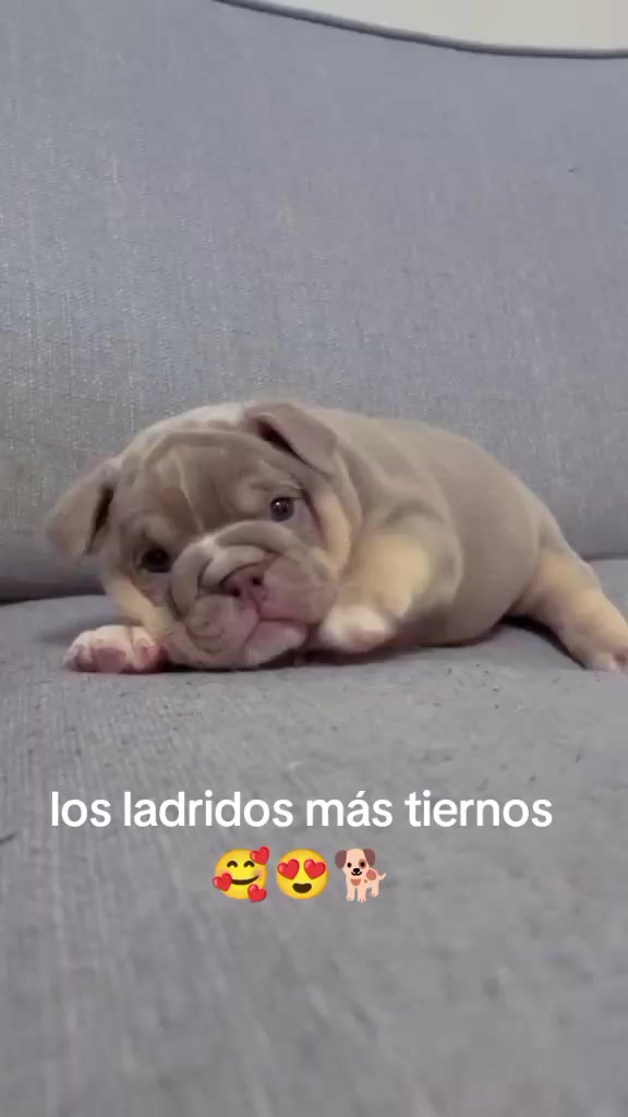 @varcan❤️