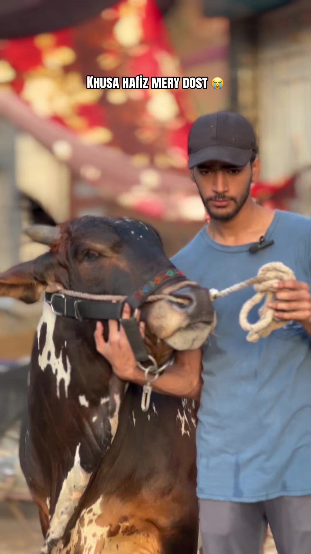 @Cattle_Guy’s