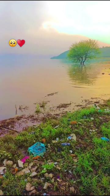 @🦋روح اللہ جان85🦋