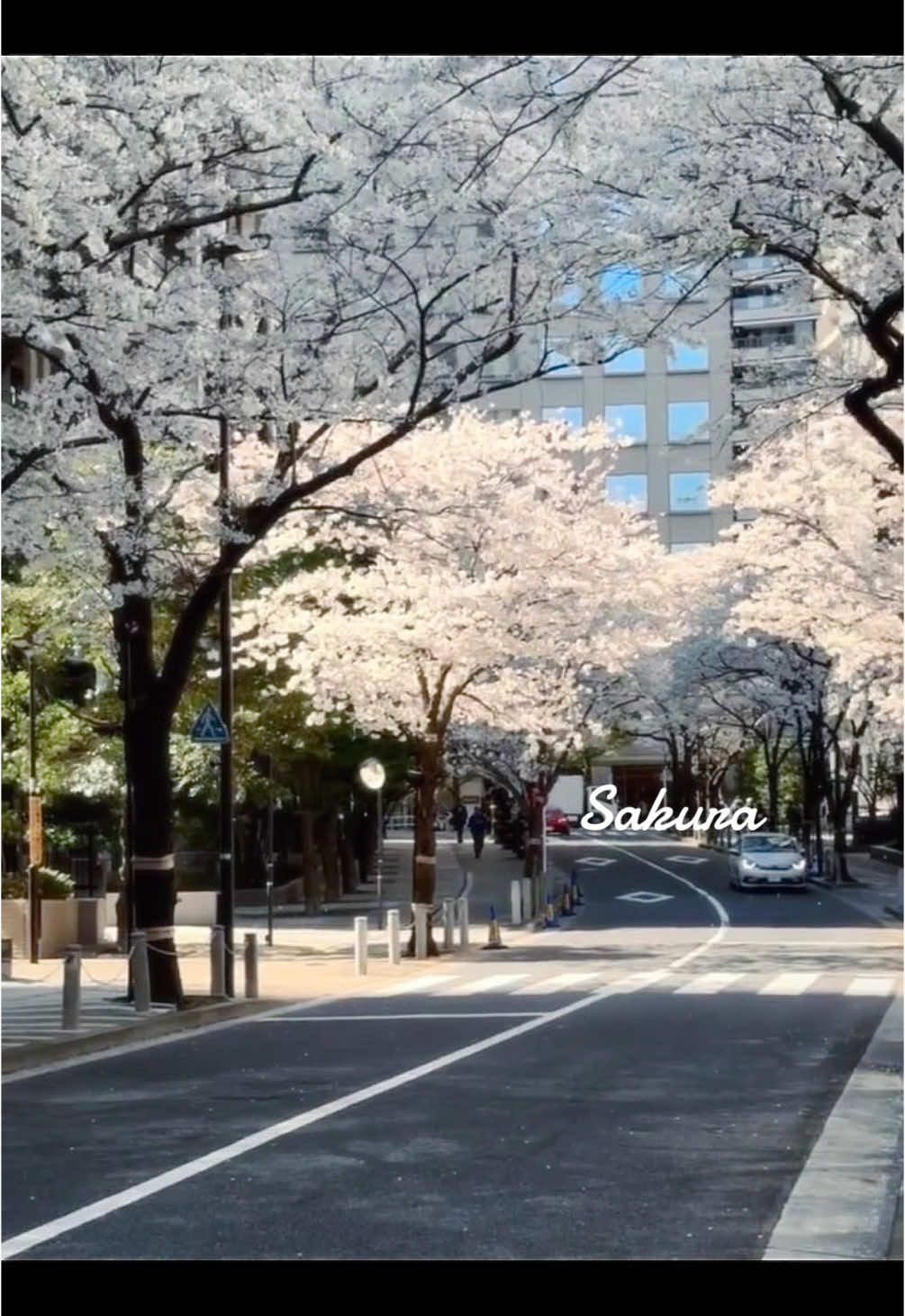 @hhann
