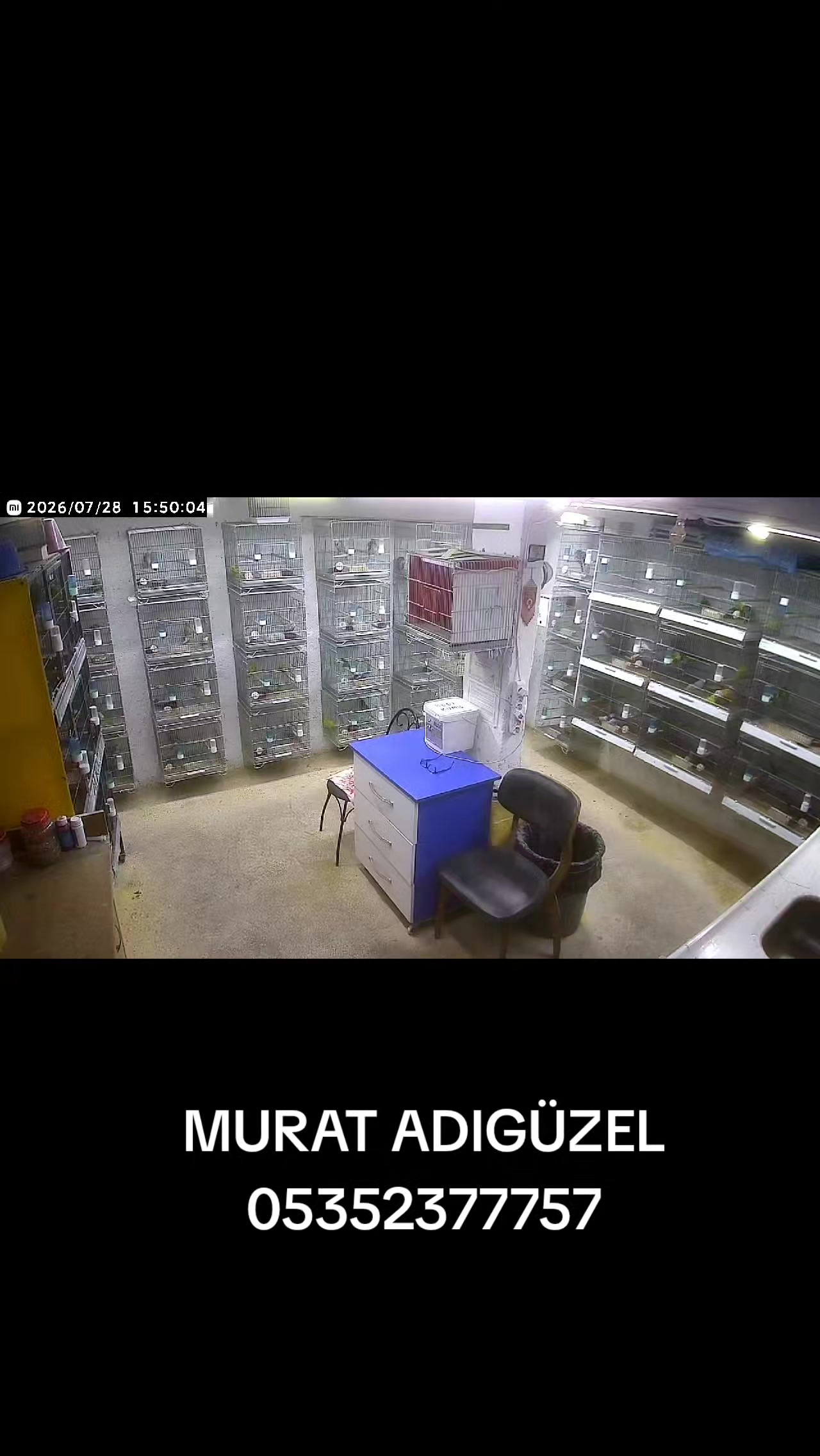 @MURAT ADIGÜZEL