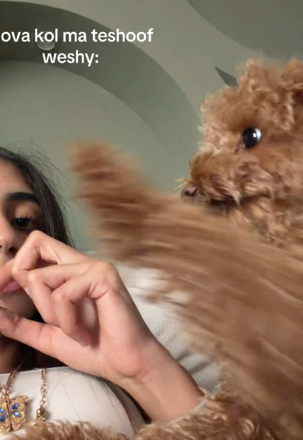@lilyspamzz677