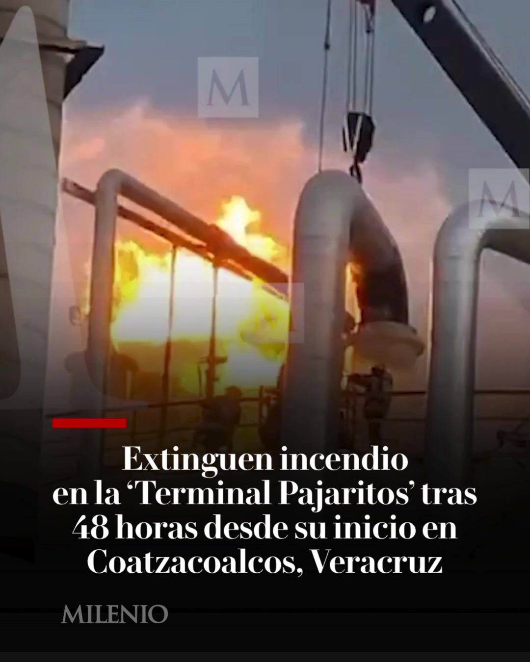 @MILENIO