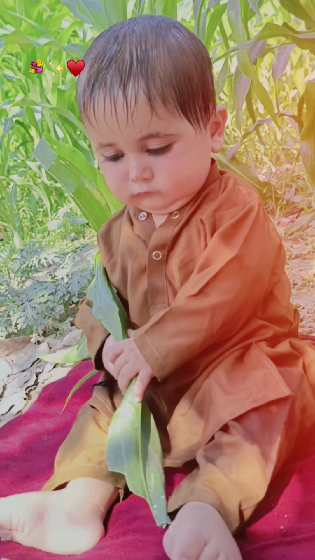 @(⌐▀͡ ̯ʖ▀)︻̷┻̿═━一-FAZAL MANGAL
