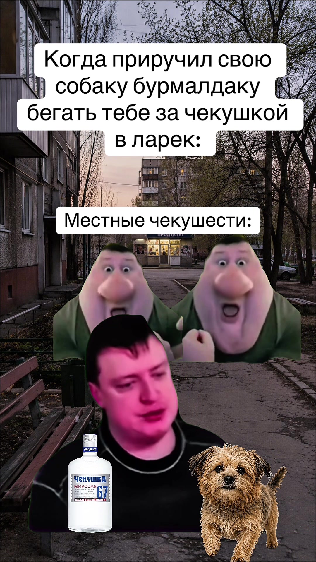 @Мем Станция